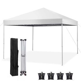 10' x 10' Pop up Canopy Tent Instant Waterproof Folding Tent with 4 Sandbags